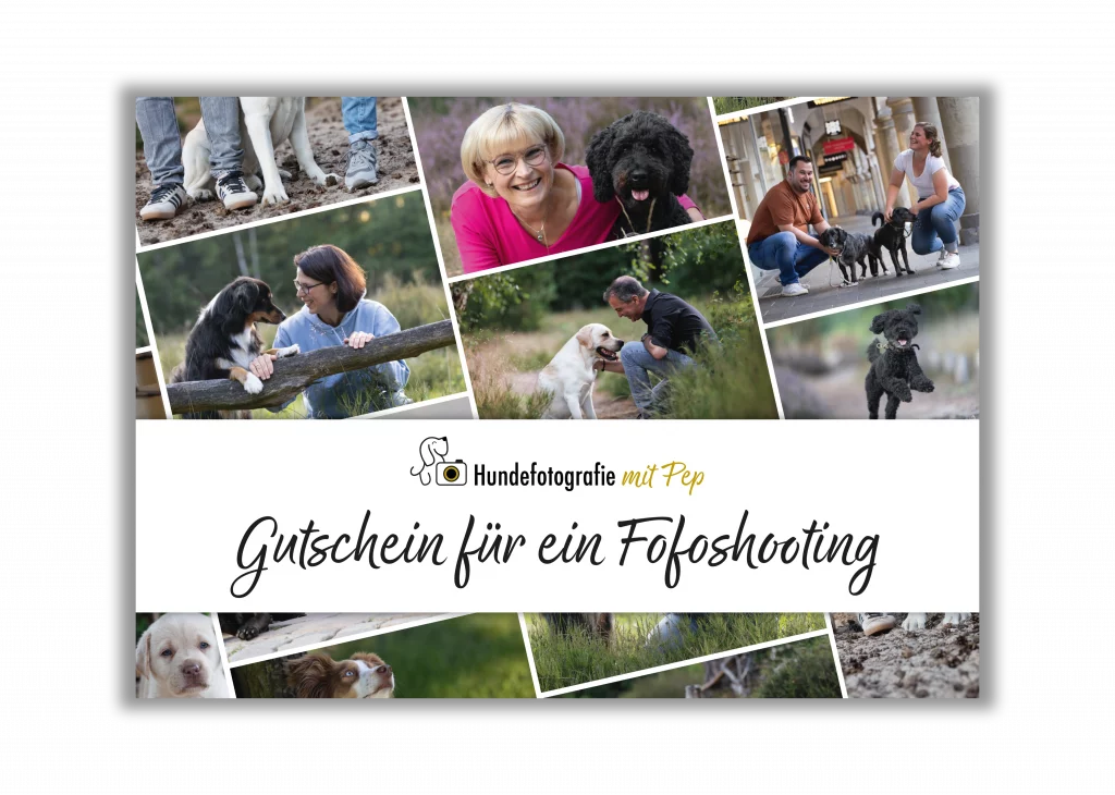 Gutschein Hundefotografie mit Pep Münster