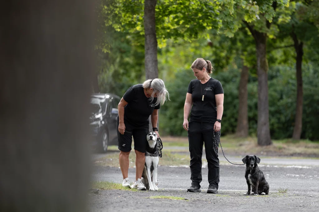 Zwei Frauen in dunkler Outdoor-Kleidung stehen mit einem Husky und einem kleinen schwarzen Hund auf einem Waldweg.